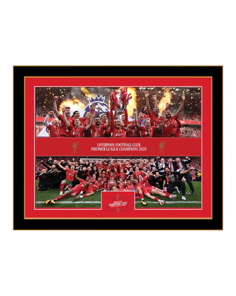 LFC Premier League Trophy Lift 12 X 16 Montage