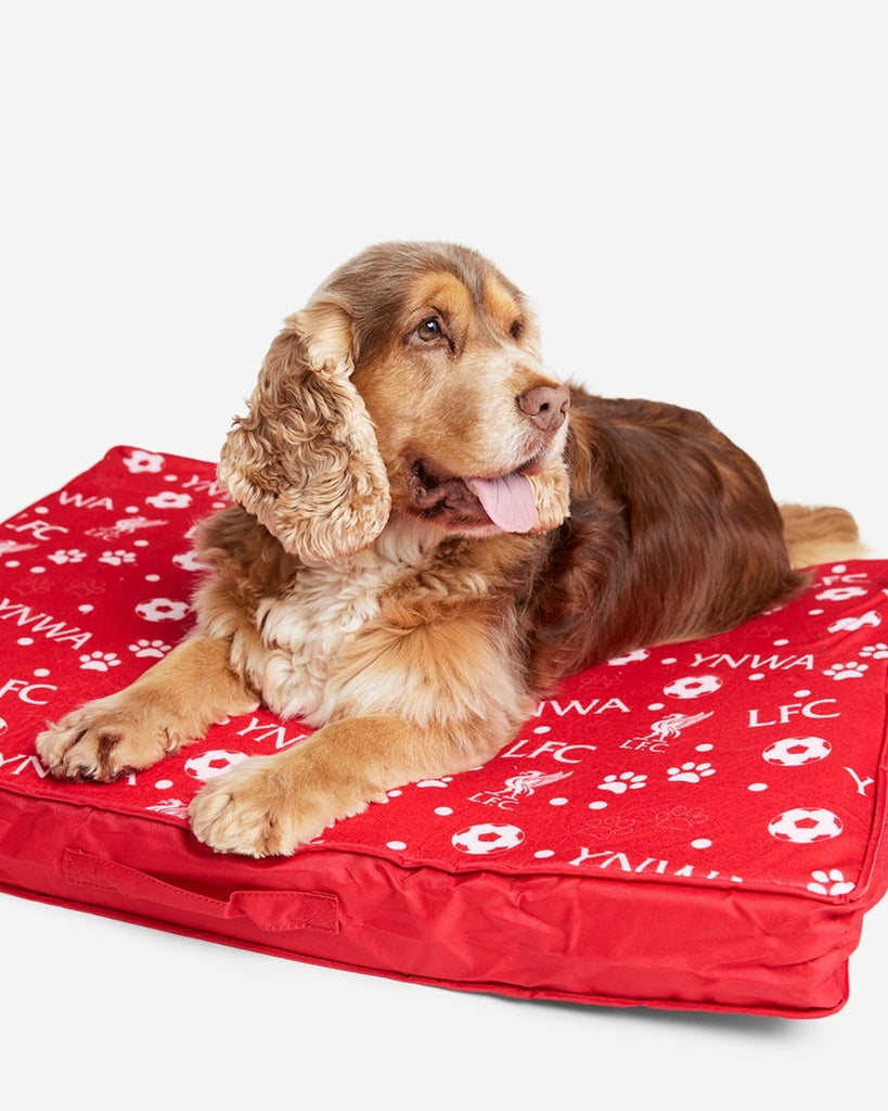 LFC Pet Mattress