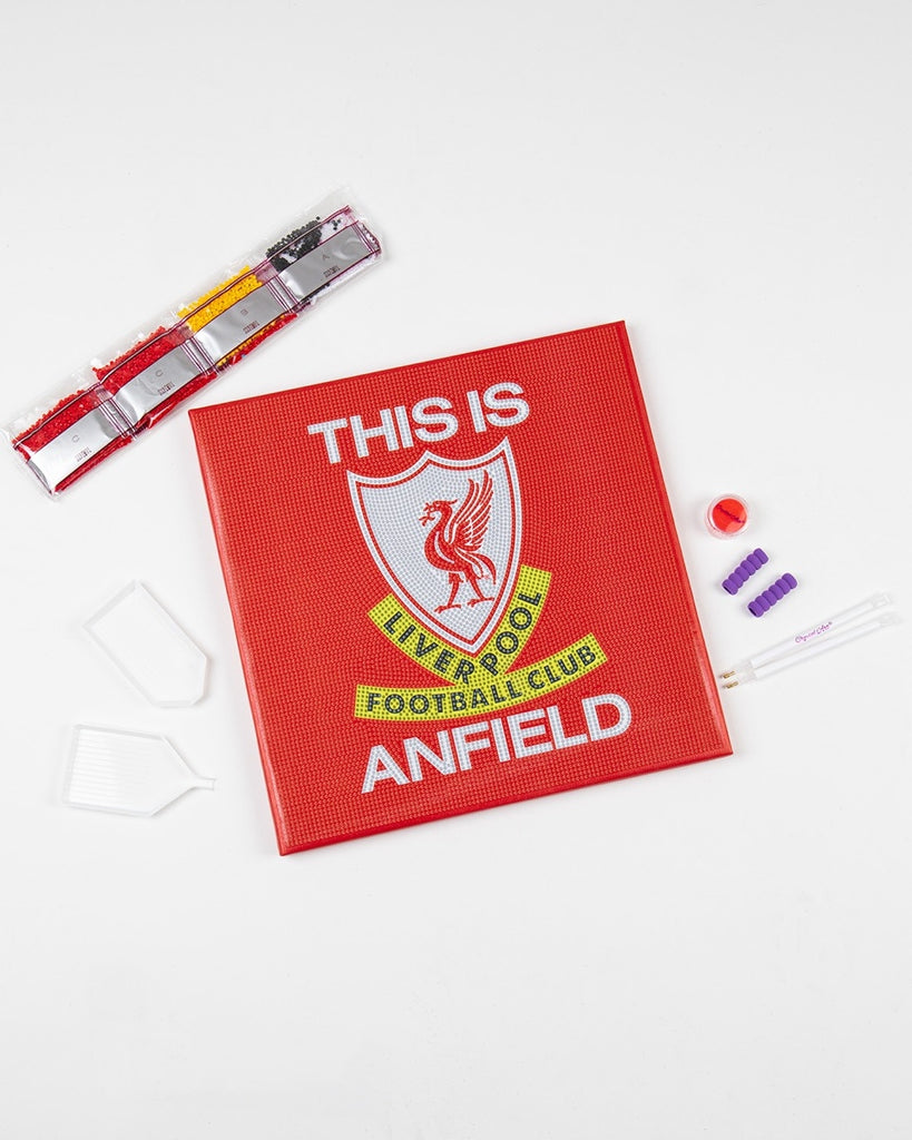 LFC Crystal Art Canvas Craft Kit