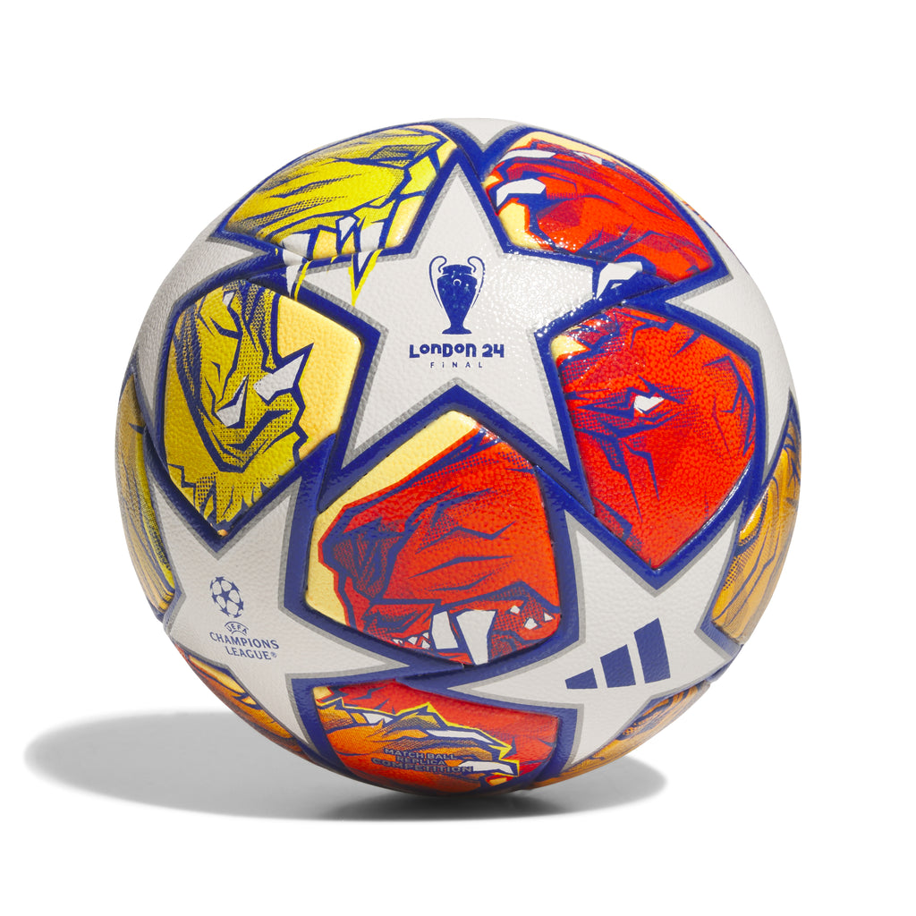 UCL 2023/24 Competiton Ball