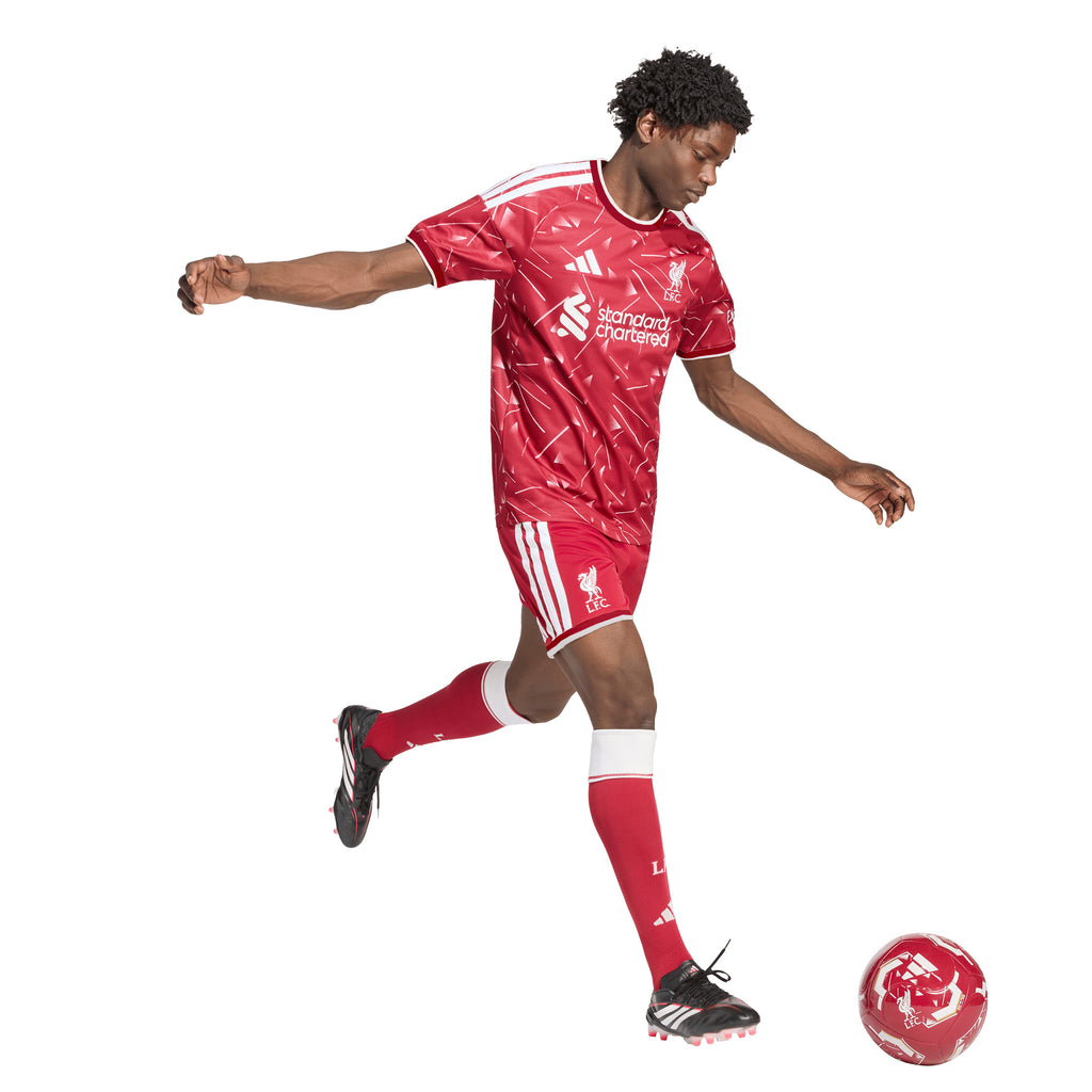 Liverpool Adidas Mens 26/27 Home Shorts – Weston Corporation