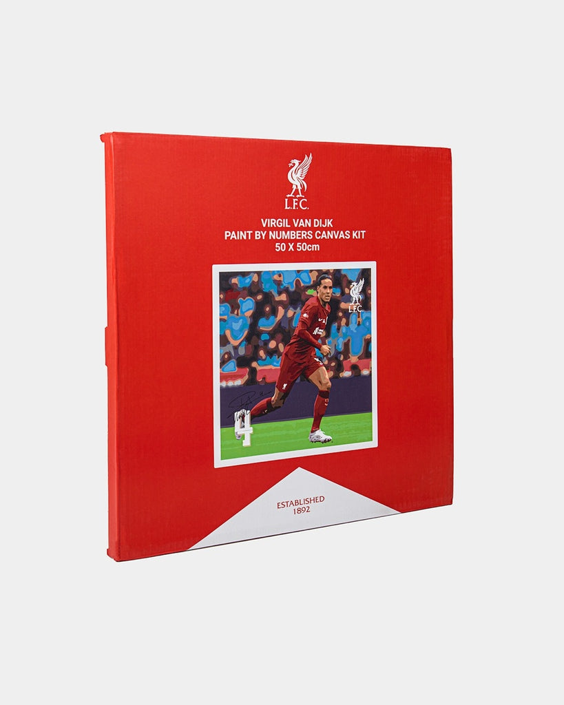 LFC Virgil Paint By Numbers
