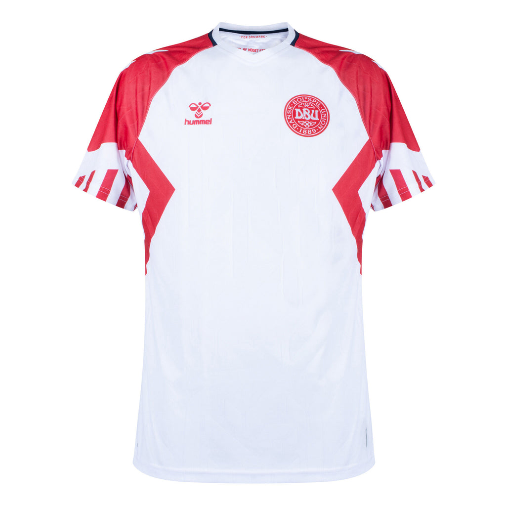 Denmark Adult 2023 Away Jersey