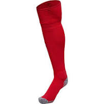 Denmark Adult 2022 Home Socks