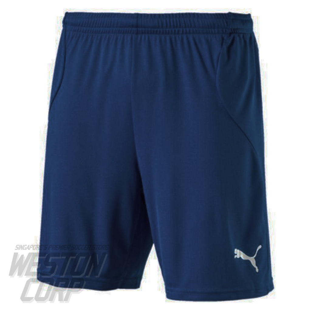 ftbl Training Shorts (Blue)