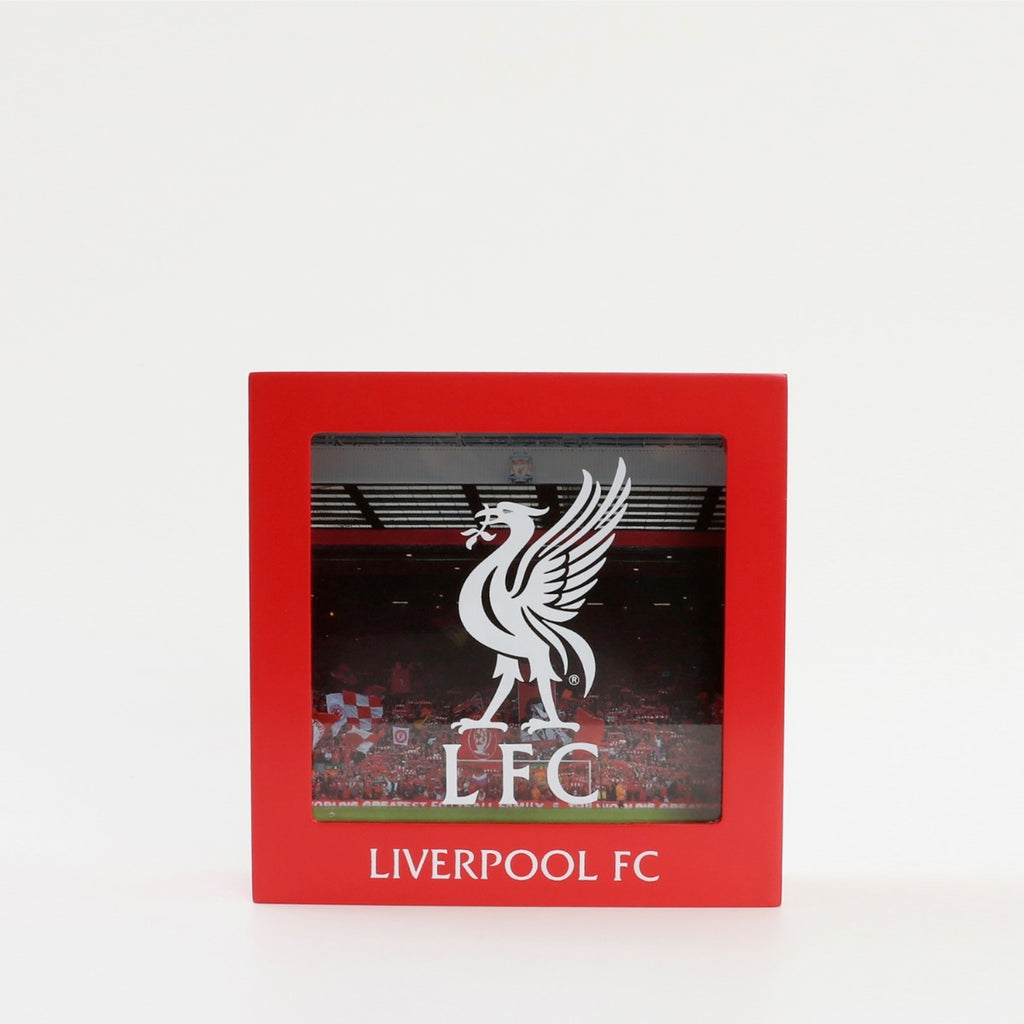 LFC Money Box