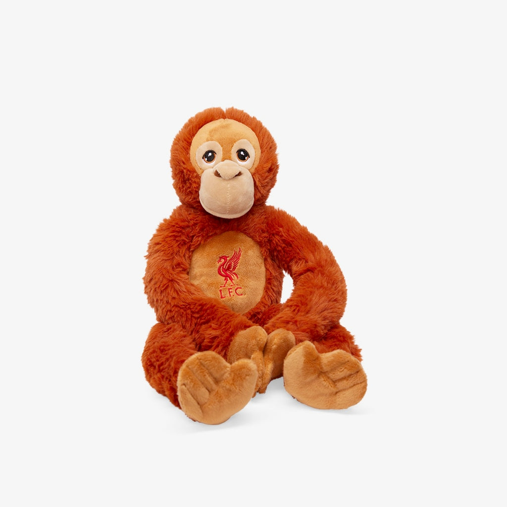 LFC Hanging Orangutan
